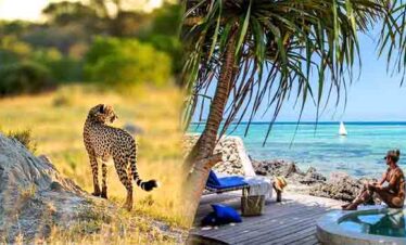 Tanzania Safari & Zanzibar