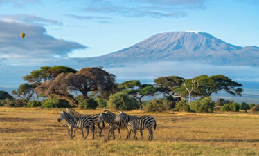 Amboseli to Maasai Mara Safari.